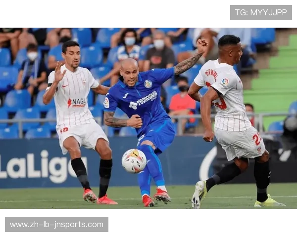 谁是法甲最佳球迷 热情与忠诚的代表